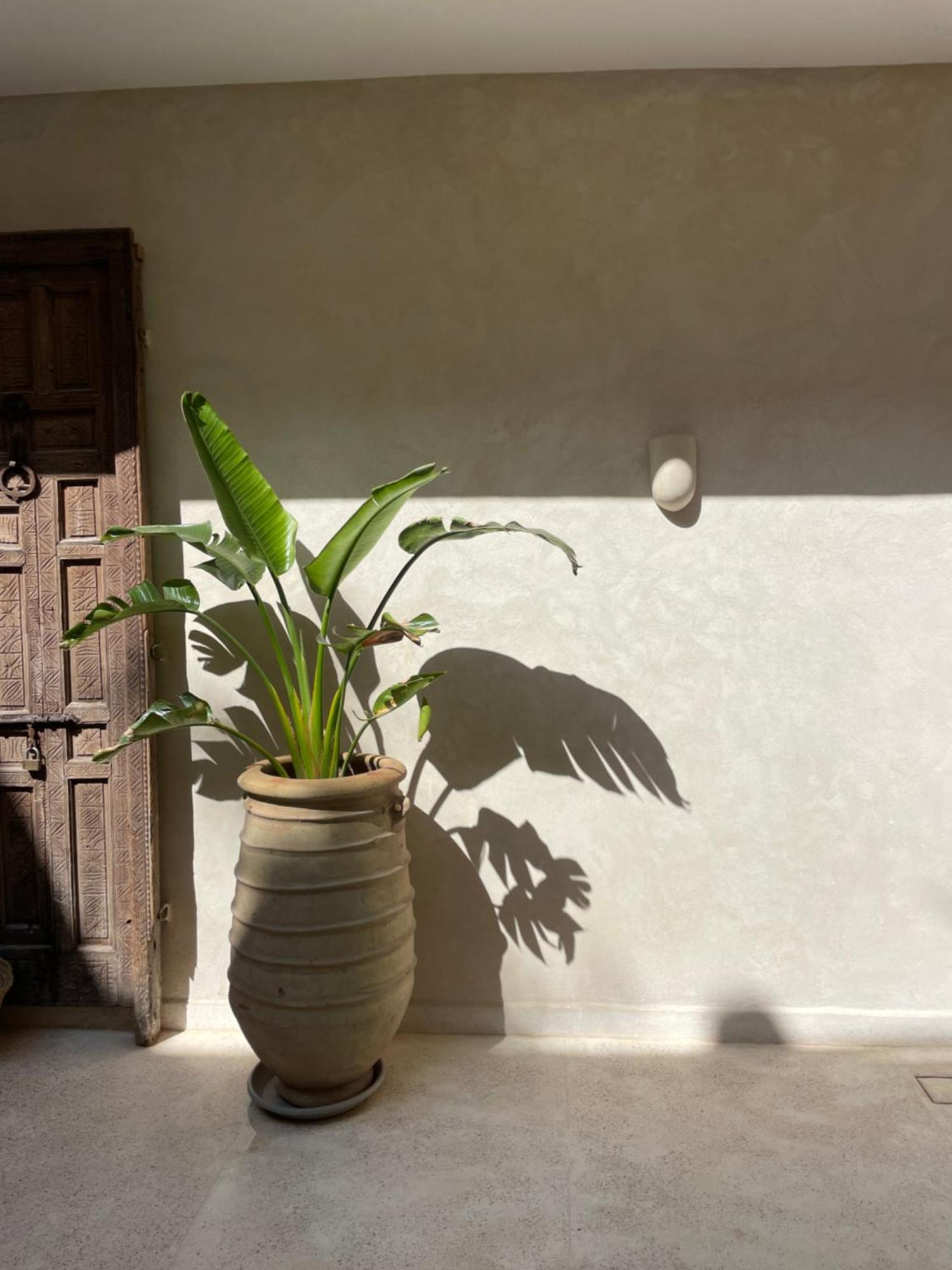 Riad Roca マラケシュ エクステリア 写真